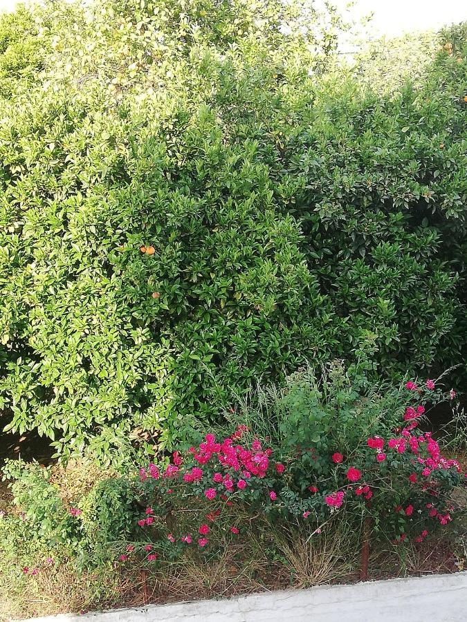 Nicol Apartmens Preveza Buitenkant foto